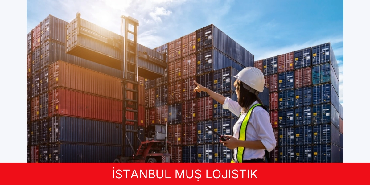 İstanbul Muş Lojistik