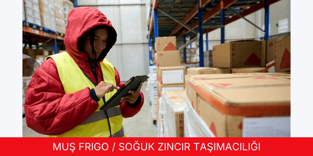 Frigo / Soğuk Zincir Taşımacılığı